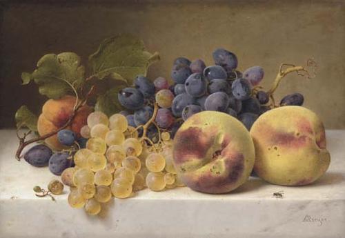 Johann Wilhelm Preyer A Still Life with Peaches and Grapes on a Marble Ledge Germany oil painting art